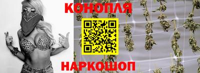 стаф Лесосибирск