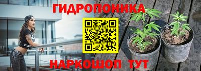 стаф Лесосибирск