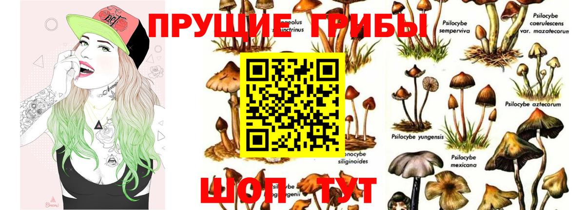 Галлюциногенные грибы GOLDEN TEACHER  Вход с VPN  Ярцево  Псилоцибиновые грибы мицелий 